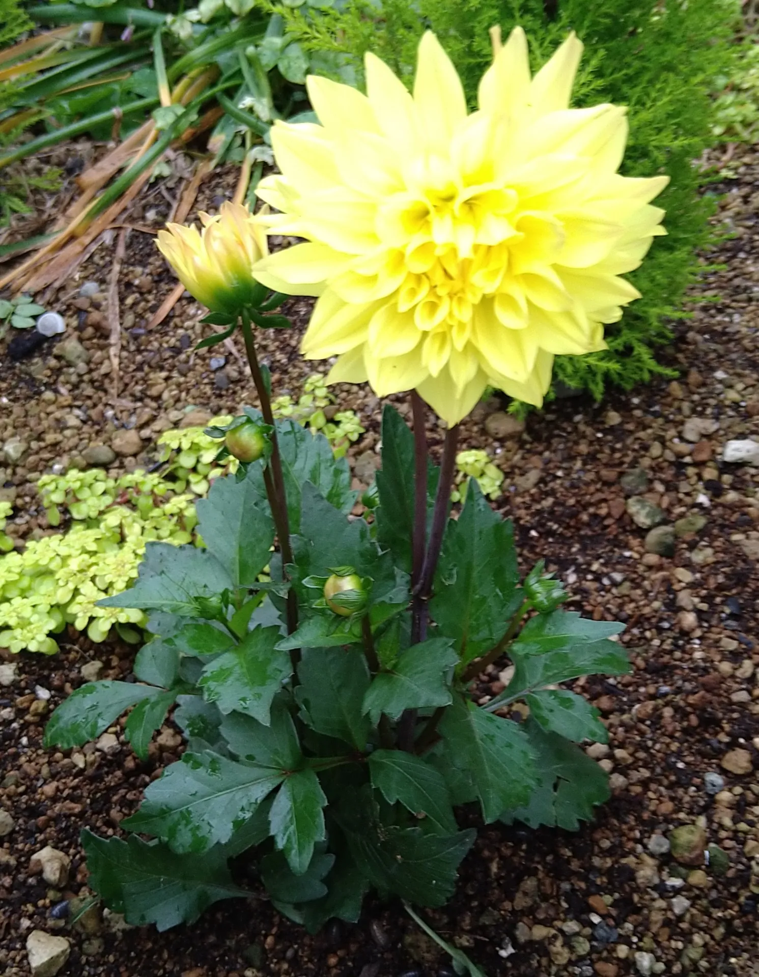 宮崎県の里山で心身を癒すリラクゼーション体験